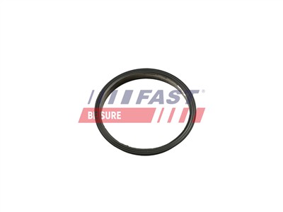 FAST FT49853 Číslo výrobce: 5904157801709. EAN: 5904157801709.