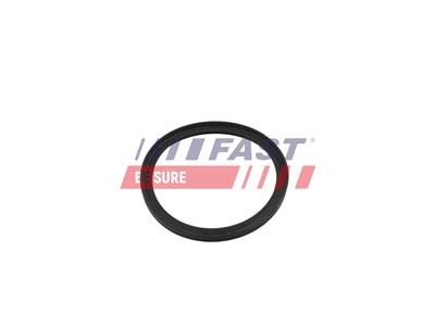 FAST FT49854 EAN: 5904157830563.