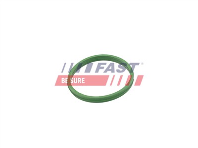 FAST FT49855 EAN: 5904157806353.