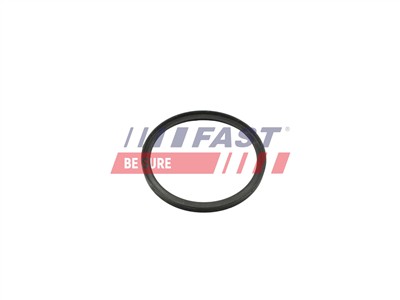 FAST FT49857 Číslo výrobce: 5904157887536. EAN: 5904157887536.