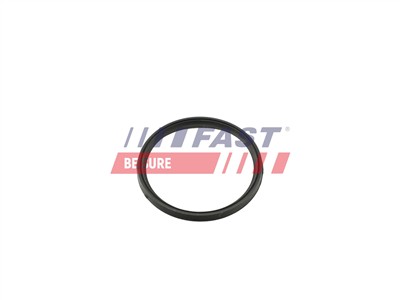 FAST FT49857 Číslo výrobce: 5904157887536. EAN: 5904157887536.