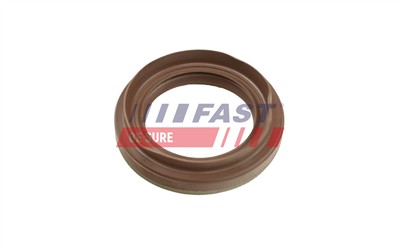 FAST FT49863 Číslo výrobce: 5904157893346. EAN: 5904157893346.