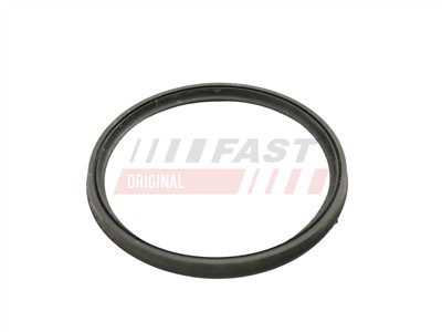 FAST FT49922 Číslo výrobce: 5904157818813. EAN: 5904157818813.