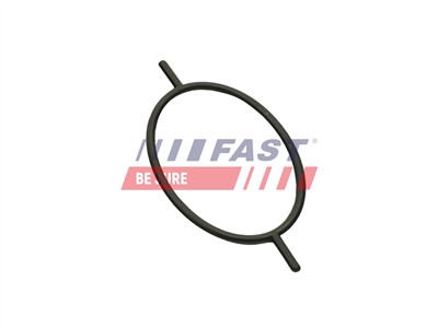 FAST FT49923 Číslo výrobce: 5904157891618. EAN: 5904157891618.