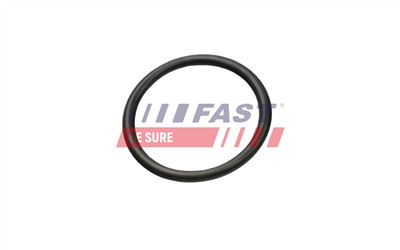 FAST FT49927 EAN: 5904157880698.