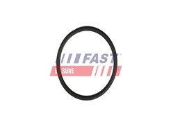 FAST FT49931
