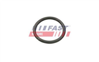 FAST FT49934 Číslo výrobce: 5904157812422. EAN: 5904157812422.