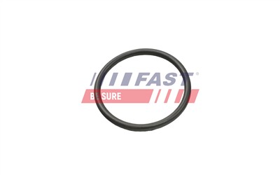FAST FT49935 Číslo výrobce: 5904157823817. EAN: 5904157823817.