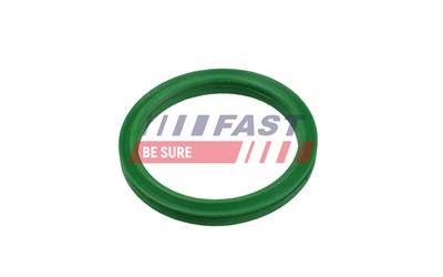 FAST FT49936 Číslo výrobce: 5904157884276. EAN: 5904157884276.