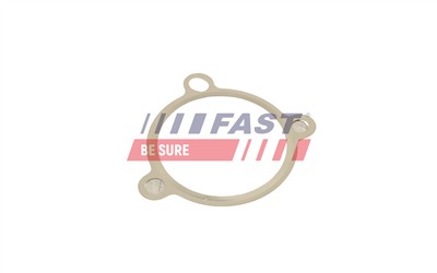 FAST FT50605 EAN: 5904157855573.