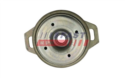 FAST FT52038 EAN: 5904157891076.