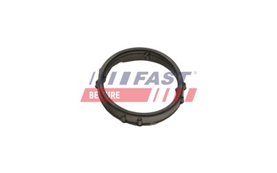 FAST FT57406 Číslo výrobce: 5904157874871. EAN: 5904157874871.