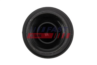 FAST FT80599 EAN: 5901797086701.