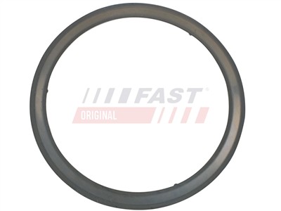 FAST FT84595 Číslo výrobce: 5901797069568. EAN: 5901797069568.