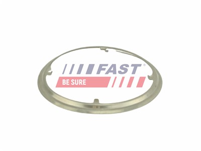 FAST FT84817 Číslo výrobce: 5904157898211. EAN: 5904157898211.