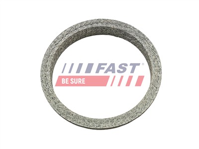 FAST FT84818 EAN: 5904157882494.