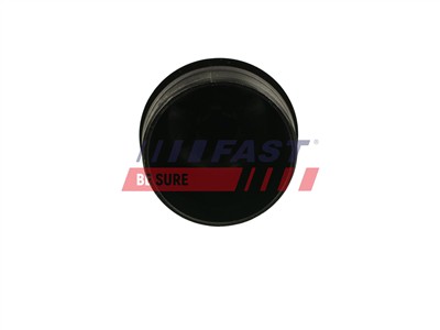 FAST FT94748 EAN: 5901797078102.