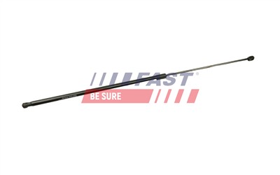 FAST FT94806 Číslo výrobce: 5904157898785.