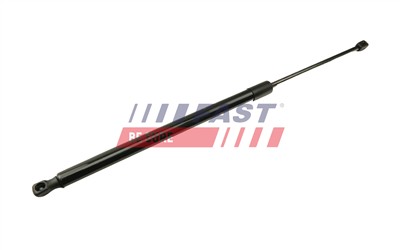 FAST FT94810