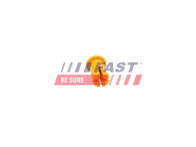 FAST FT96021 Číslo výrobce: 5904157800443. EAN: 5904157800443.