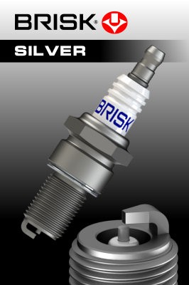 BRISK 1827 Číslo výrobce: L08S Silver. EAN: 0.