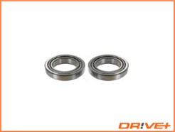 Dr!ve+ DP2010.10.0620