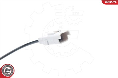 ESEN SKV 06SKV319 EAN: 5901947328552.