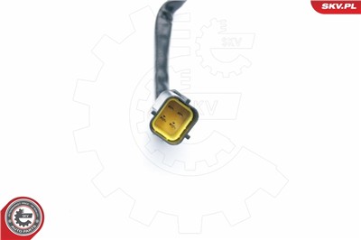 ESEN SKV 09SKV568