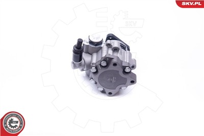 ESEN SKV 10SKV242 EAN: 5901947373101.