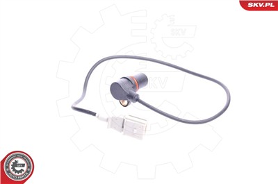 ESEN SKV 17SKV213 EAN: 5901947303542.