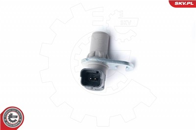 ESEN SKV 17SKV300 EAN: 5901947323489.