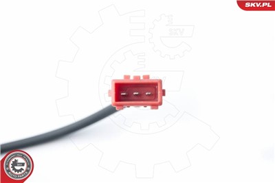 ESEN SKV 17SKV306 EAN: 5901947323540.