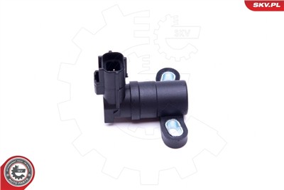 ESEN SKV 17SKV545 EAN: 5903968403102.