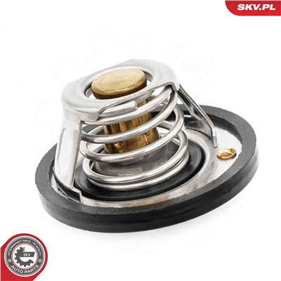 ESEN SKV 20SKV218 EAN: 5903968496692.