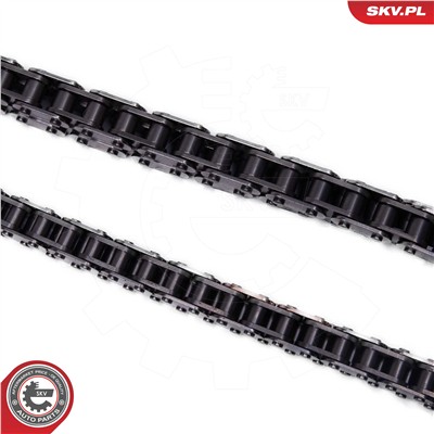 ESEN SKV 21SKV250 EAN: 5903968467708.