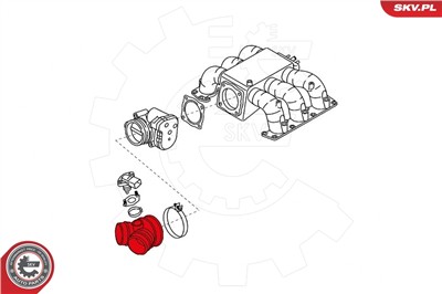 ESEN SKV 24SKV481 EAN: 5901947377901.