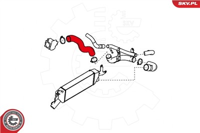 ESEN SKV 24SKV966 EAN: 5901947364741.