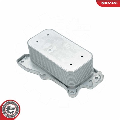 ESEN SKV 31SKV219 EAN: 5903968453510.