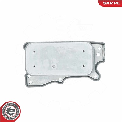 ESEN SKV 31SKV219 EAN: 5903968453510.