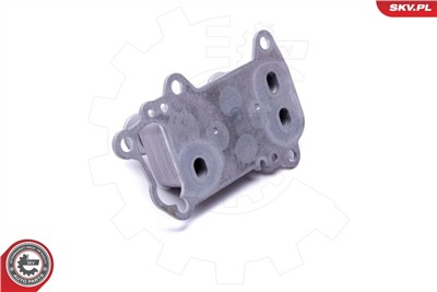 ESEN SKV 31SKV225 EAN: 5903968453572.