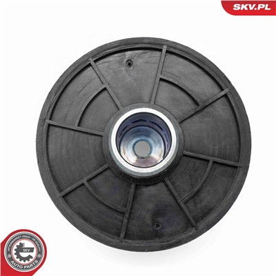 ESEN SKV 31SKV421 EAN: 5906302208074.