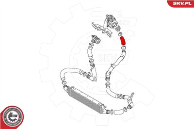 ESEN SKV 43SKV215 EAN: 5901947382929.