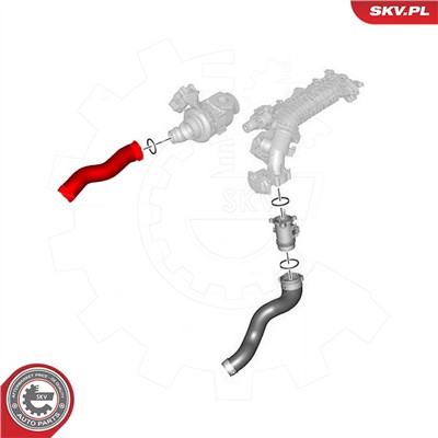 ESEN SKV 43SKV424 EAN: 5901947375105.