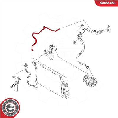 ESEN SKV 43SKV524 EAN: 5901947387788.