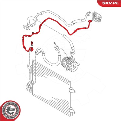 ESEN SKV 43SKV555 EAN: 5903968489458.