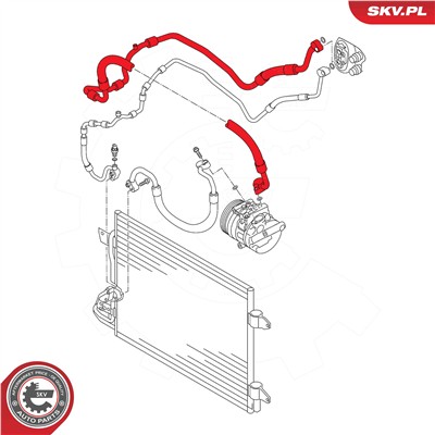 ESEN SKV 43SKV556 EAN: 5903968489465.