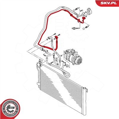 ESEN SKV 43SKV560 EAN: 5903968489502.