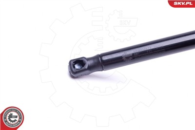 ESEN SKV 52SKV317 EAN: 5903968410018.