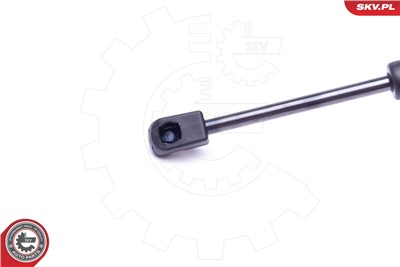 ESEN SKV 52SKV317 EAN: 5903968410018.