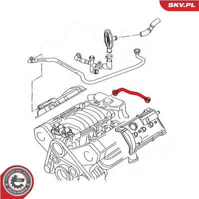 ESEN SKV 54SKV751 EAN: 5906302209828.